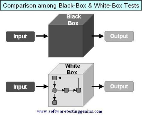 White Box Testing In Software Engineering With Example