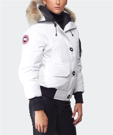 White Canada Goose
