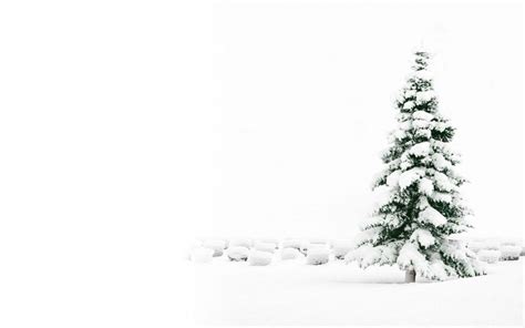 Winter Wonderland: Stunning White Christmas Backgrounds to Elevate Your Holiday Decor