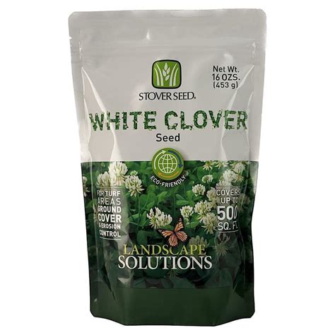 white clover seed on amazon