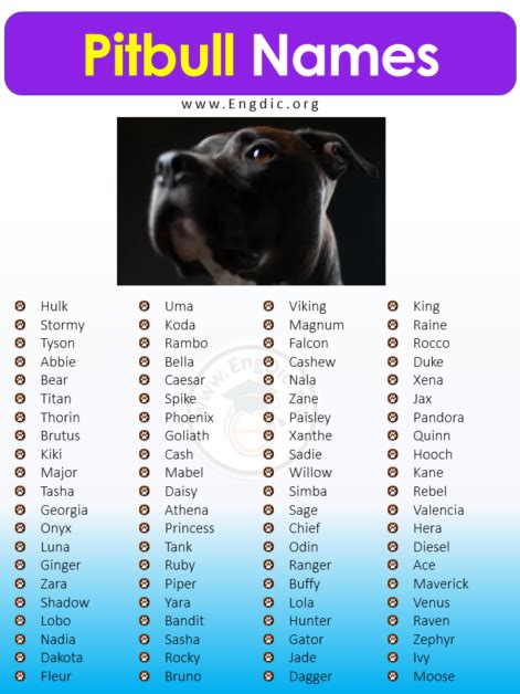 white dog names boy pitbull