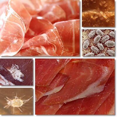 white dots on prosciutto