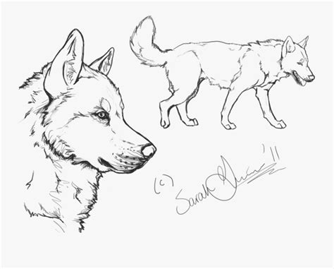 White Fang Coloring Page