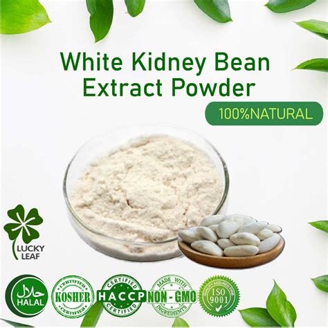White Kidney Bean Extract Powder