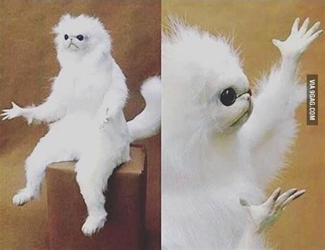 White Monkey Meme