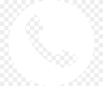 white phone icon