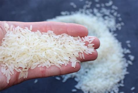 White Rice Fodmap Monash