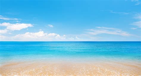 White Sea Exploration