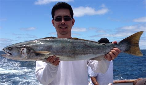 white sea bass southern california