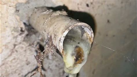White Sludge In Ac Drain Pipe