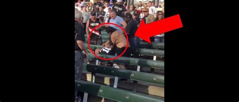 white sox fight in stands