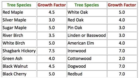 white spruce growth rate per year