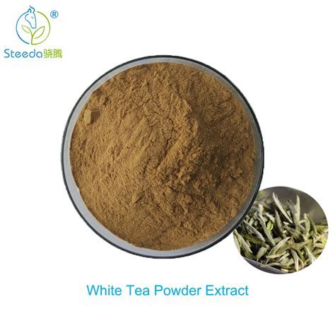 White Tea Extract From