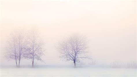 White Theme Wallpaper For Pc