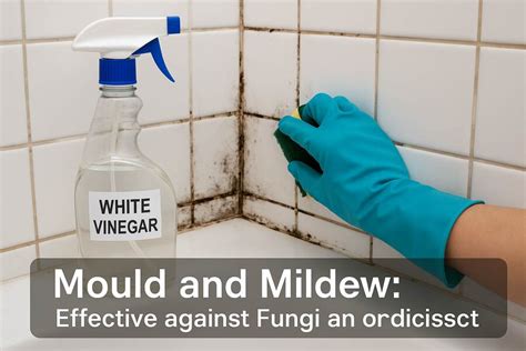 White Vinegar For Mildew