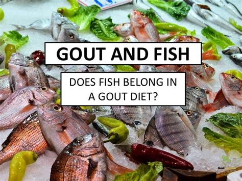 Whiting Fish Gout