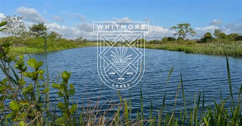 Whitmore Lake Bsa