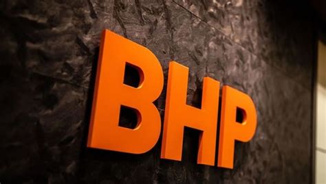 who are bhp customers