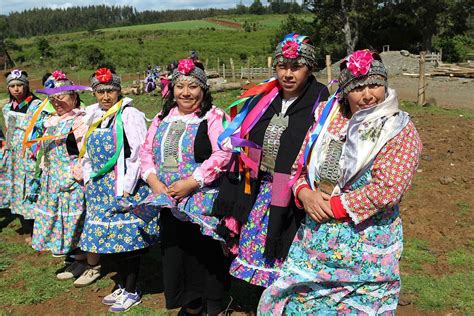 who are the mapuche people