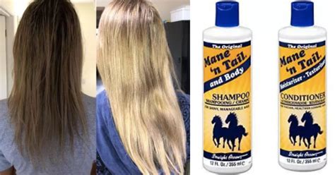 Fresh Who Buys Horse Hair Hairstyles Inspiration