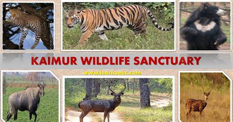 who can declare wildlife sanctuary upsc