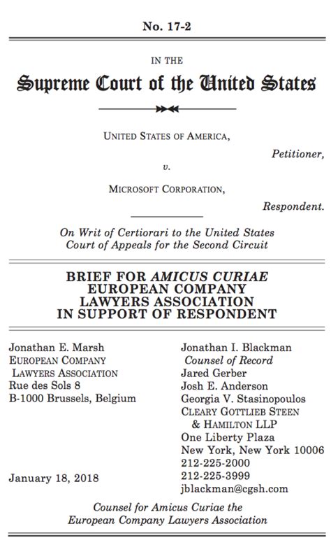 who can file an amicus curiae brief