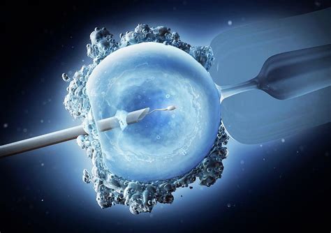 who created in vitro fertilization