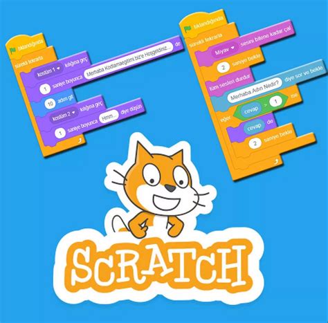 who created scratch programming