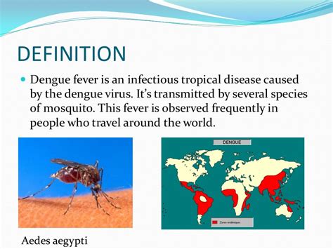 who definition of dengue