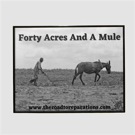 who got 40 acres and a mule