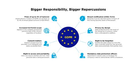 who has overall responsibility for gdpr