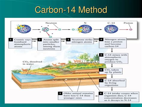 who invented carbon 14 method