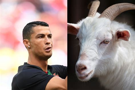 who is actually the real goat in football