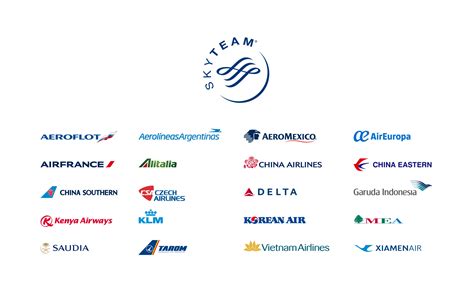 who is in skyteam