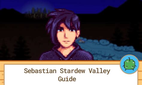 who is stardew valley's sebastian