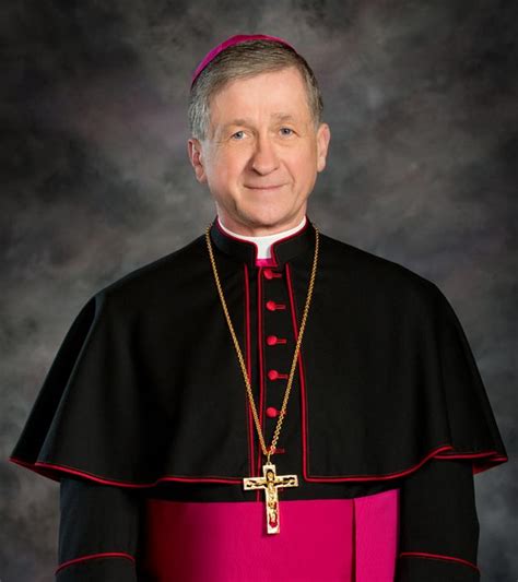 who is the archbishop of chicago