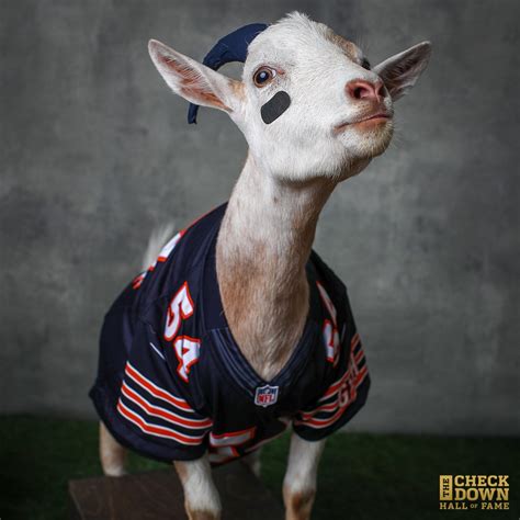 who is the goat of american football