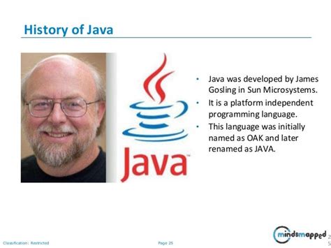 who owns java language