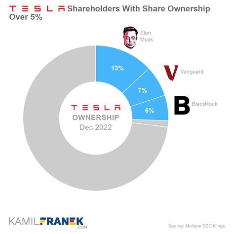 who owns most tesla stocks