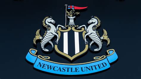 who owns newcastle utd