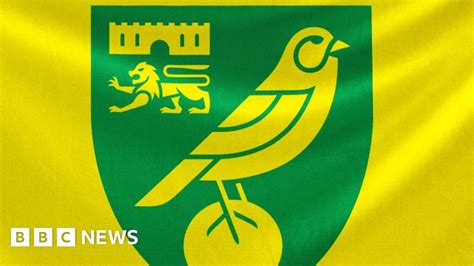who owns norwich fc