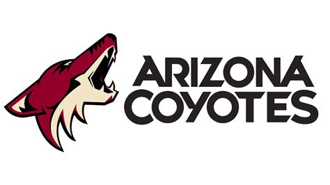 who owns the arizona coyotes
