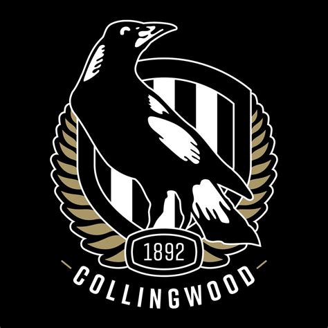 who owns the collingwood football club