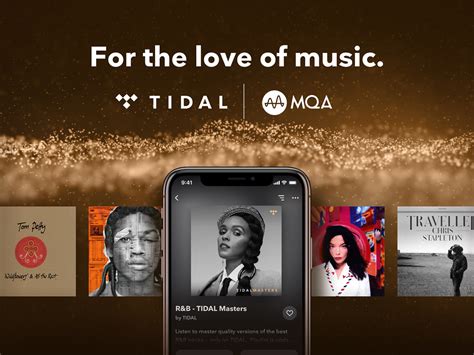 who owns tidal music streaming