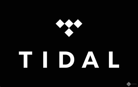who owns tidal software