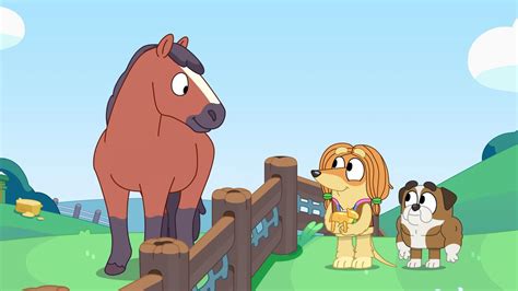 who plays as the horse in bluey