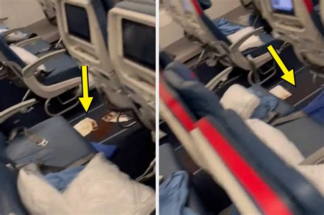 who pooped on the delta flight