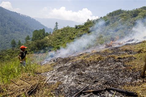 who practiced slash and burn agriculture