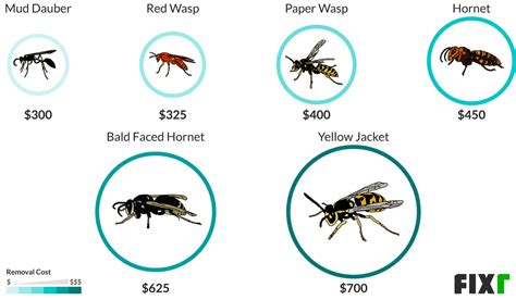 who removes wasp near me cost