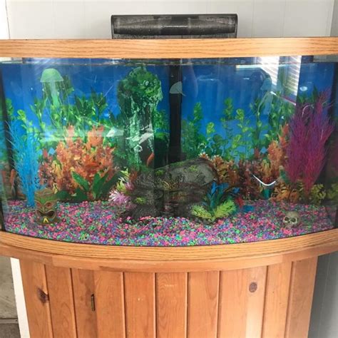 who sells fish tanks near me